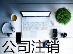 会计 审计 | 验资报告、审计/筹划等服务 | 提供企业境外